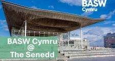 Senedd